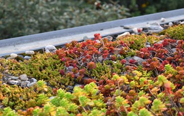 the cost of Daw Cross green roof installation