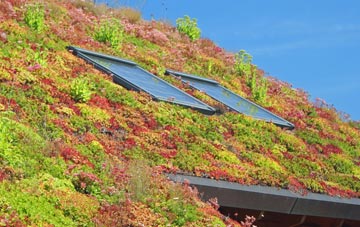 Daw Cross living roof systems