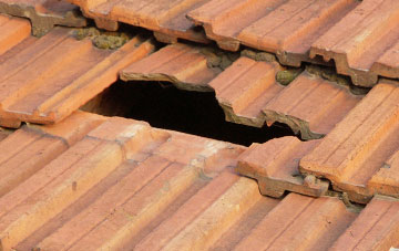 roof repair Daw Cross, North Yorkshire